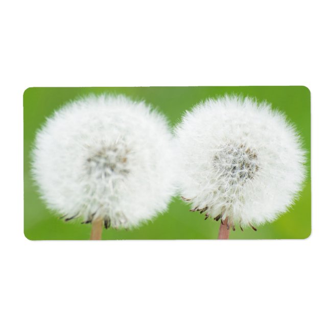 Etiqueta Dois dentes-de-leão (Frente)