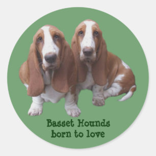 Etiqueta dos amigos de Basset Hound
