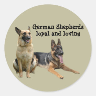 Etiqueta dos amigos do german shepherd