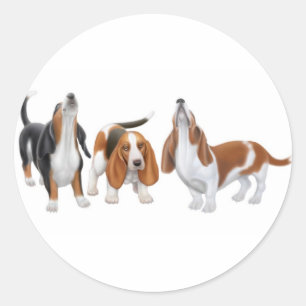 Etiqueta dos cães de Basset