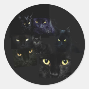 Etiqueta dos gatos de Scaredy