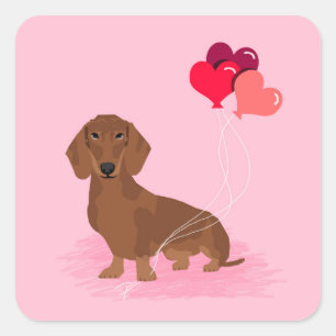 Etiqueta dos namorados do Dachshund - cão do doxi