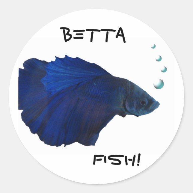 Etiqueta dos peixes de Betta (Frente)