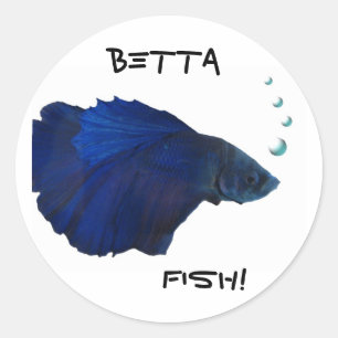 Etiqueta dos peixes de Betta