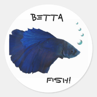 Etiqueta dos peixes de Betta