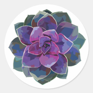 Etiqueta dos Succulents