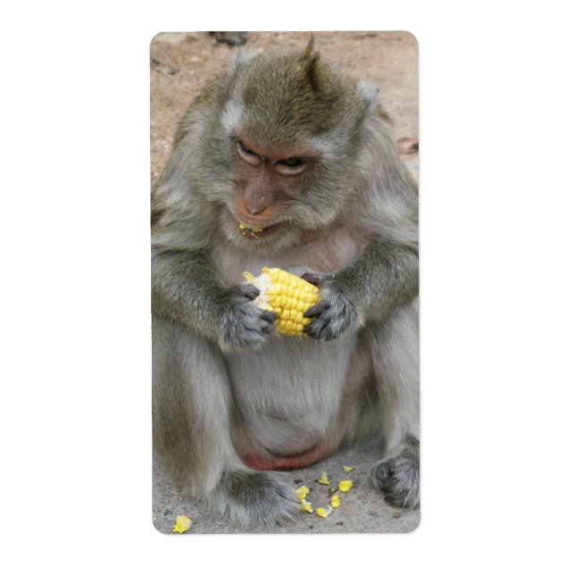Etiqueta É meu! ... Macaco Selvagem Tailandês (Frente)
