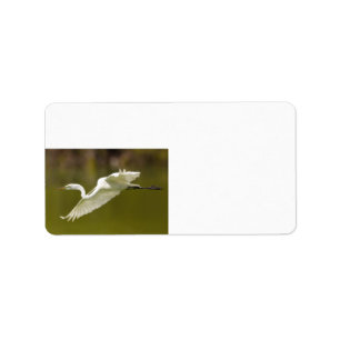 Etiqueta egret em vôo