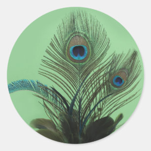 Etiqueta elegante do pavão (verde)