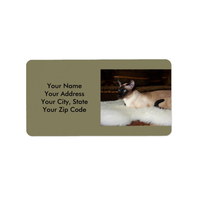 Etiqueta Elegante Siamese Cat (Frente)