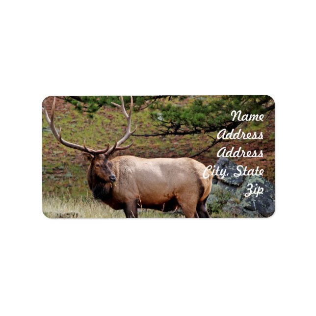 Etiqueta Elk Address Sticker (Frente)