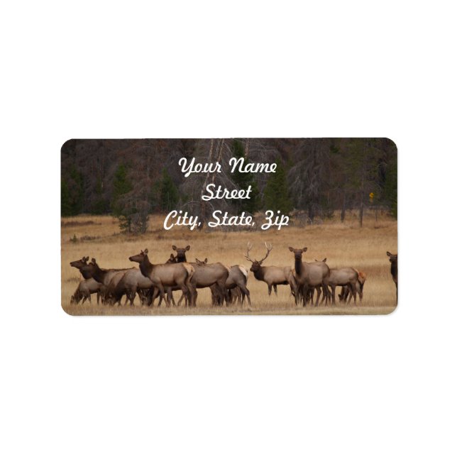 Etiqueta Elk Herd Address Sticker (Frente)