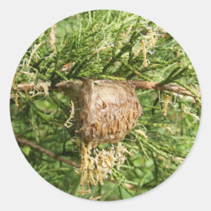 Etiqueta emergente do ~ da louva-a-deus