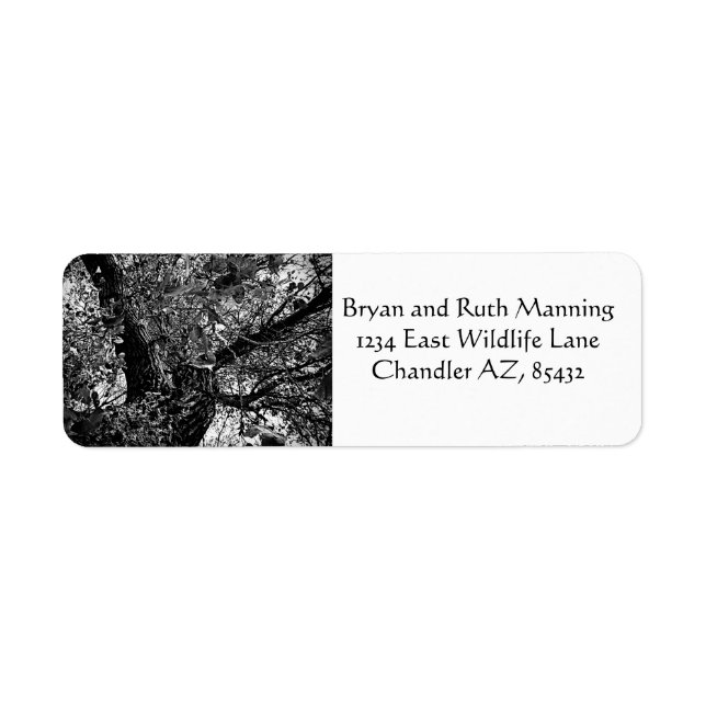 Etiqueta Encontre-me nas árvores (Frente)