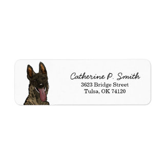 Etiqueta Endereço de devolução belga Malinois