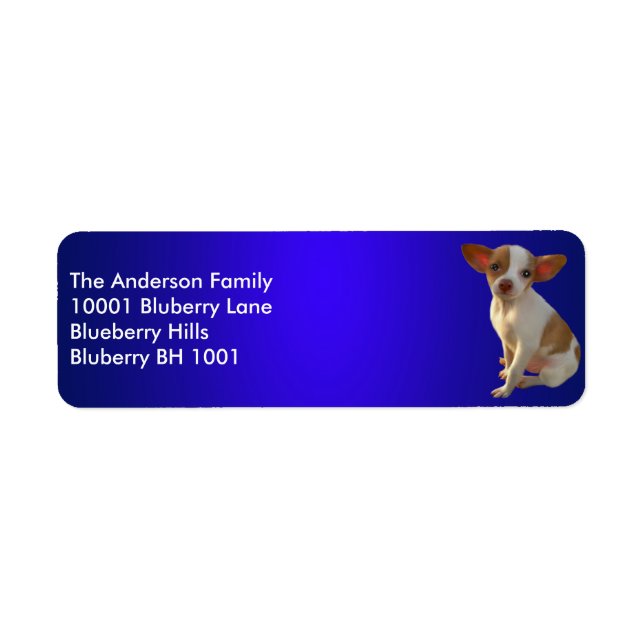 Etiqueta Endereço de Devolução Blue Label Chihuahua (Frente)