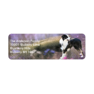 Etiqueta Endereço de Devolução Border Collie