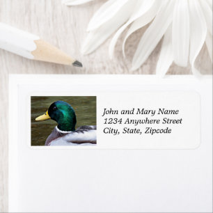 Etiqueta Endereço de devolução de foto do Pato de Mallard d