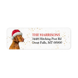 Etiqueta Endereço de devolução do Santa Hat Vizsla Dog