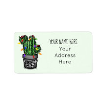 Endereço de Holiday Cactus