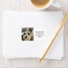 Etiqueta Endereço de Retorno de Foto de Animal Personalizad