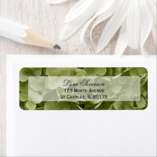 Etiqueta Endereço de Retorno do Flor de Hydrangea Verde