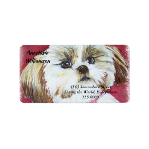 Etiqueta ENDEREÇO doce de Shih Tzu
