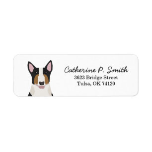 Etiqueta Endereço para devolução Bull Terrier
