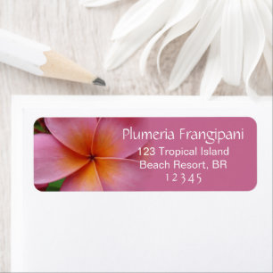 Etiqueta Endereço Tropical do Flor de Plumeria Rosa Frangi