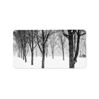 Etiqueta Enquanto eu lado com árvores