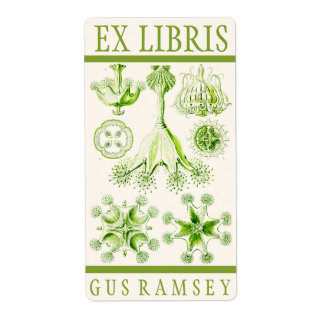 Etiqueta Ernst Haeckel Stauromedusae Bookplate