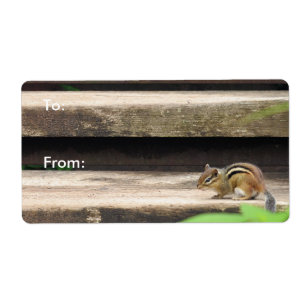 Etiqueta Escadas Subindo Chipmunk