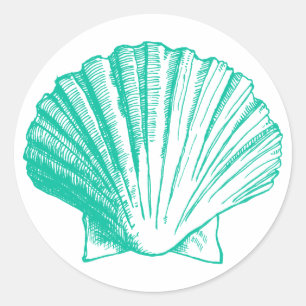 Etiqueta escura de Shell do mar do Aqua