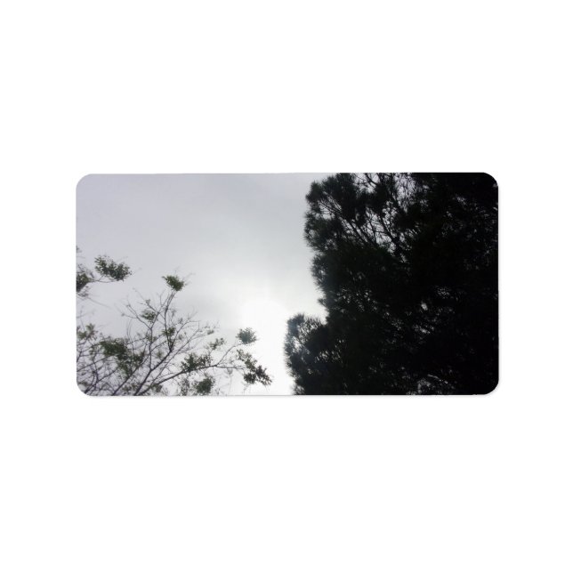 Etiqueta ESTILO DE ECO DE ARMAZENAMENTO DE Rótulo de Endere (Frente)