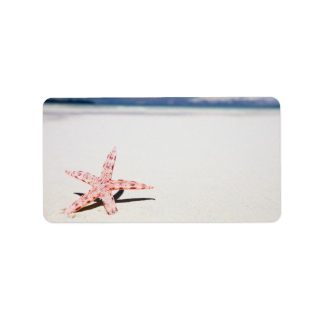 Etiqueta Estrela-do-mar na praia (Frente)