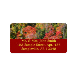 Etiqueta Fall Hillside Colorter Autumn Nature Fotografia
