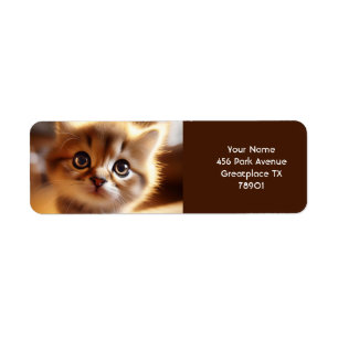 Etiqueta Fantasy Cute Closeup Pequeno Kitten