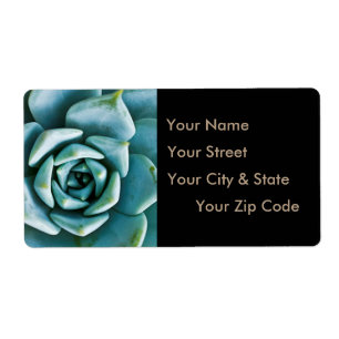 Etiqueta Fechamento Suculento