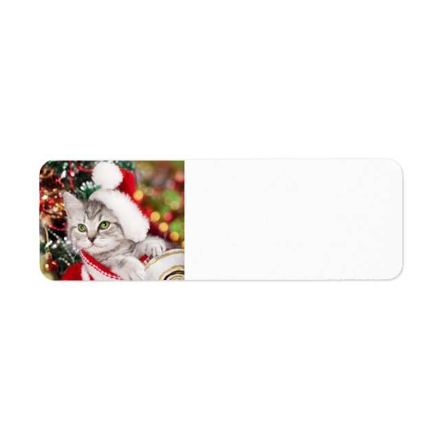 Etiqueta Feliz Natal Kitten (Frente)