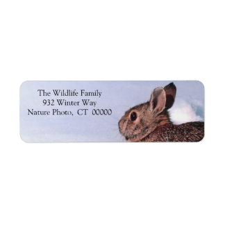 Etiqueta Feriado de Natal - Retorno de Endereço