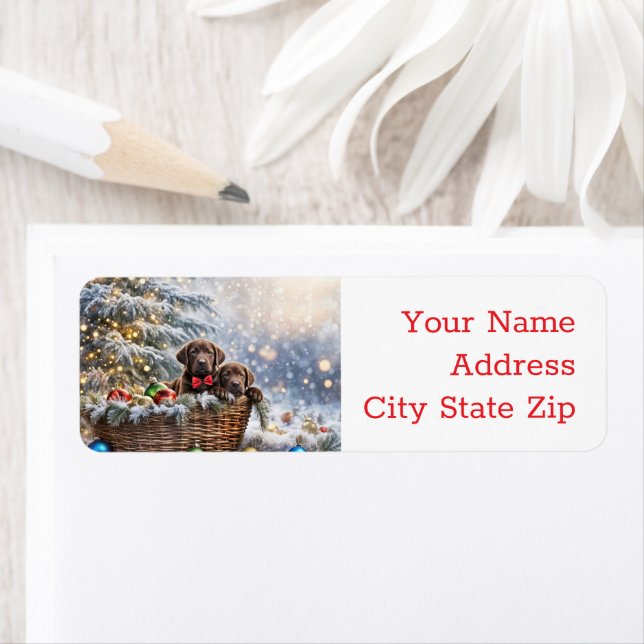 Etiqueta Feriados de Natal Devolvem Labs (Insitu)