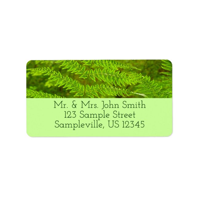 Etiqueta Fern Fronds III Natureza Verde Botânica (Frente)