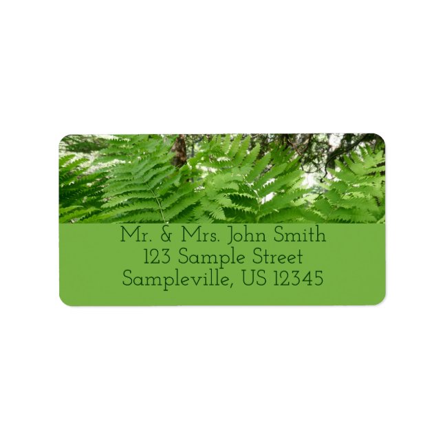 Etiqueta Fern Fronds IV Natureza Verde Botânica (Frente)