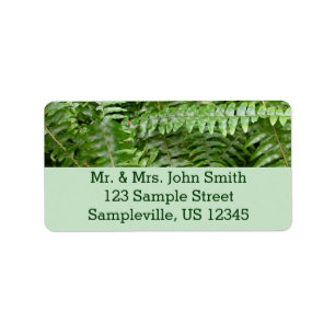 Etiqueta Fern Frontes I Green Nature