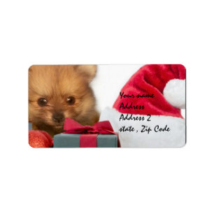 Etiqueta Filhote de cachorro de Pomeranian do Natal