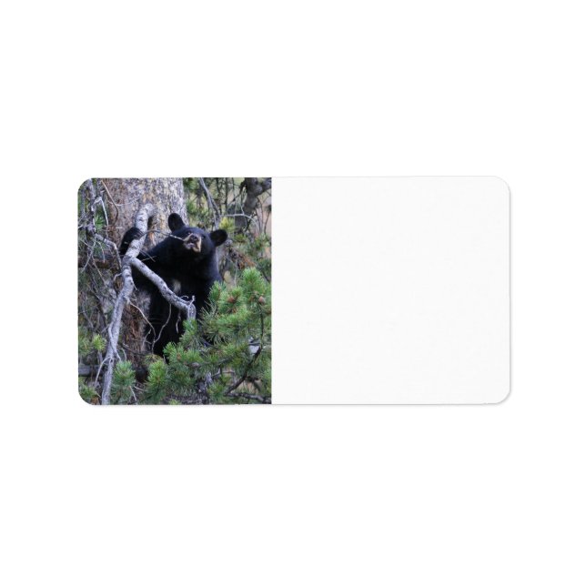 Etiqueta filhote de urso negro (Frente)