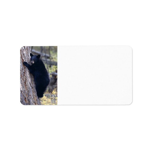 Etiqueta filhote de urso negro (Frente)