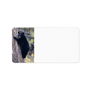 Etiqueta filhote de urso preto