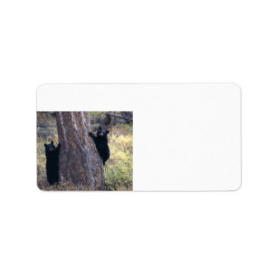 Etiqueta filhotes de urso preto