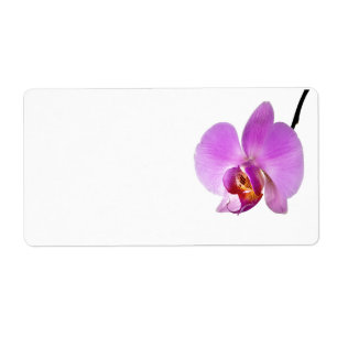 Etiqueta Flor cor-de-rosa da orquídea